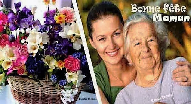 - Fête-des-Mères-chaque-nuit-je-dors-sur-mes-deux-oreilles-car-je-sais-que-ma-douce-fée-veille-3