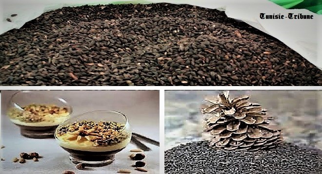 -Zgougou-3ssida-Assida-2018-inflatoxine-Ministere de la Santé