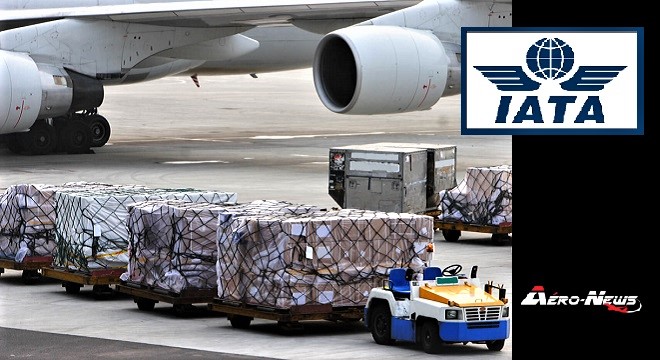 Le fret aérien marque en octobre une croissance mondiale modeste de (+3,1%), négative en Afrique (-4,2%) et bonne au Moyen-Orient (+5,0%)