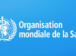 Afrique : la hausse de la culture du tabac nuit à la sécurité alimentaire et nutritionnelle (OMS)