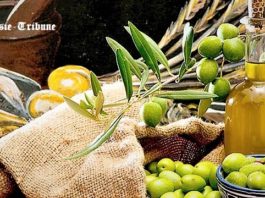 L’huile d’olive tunisienne remporte 44 médailles d’or à Istanbul