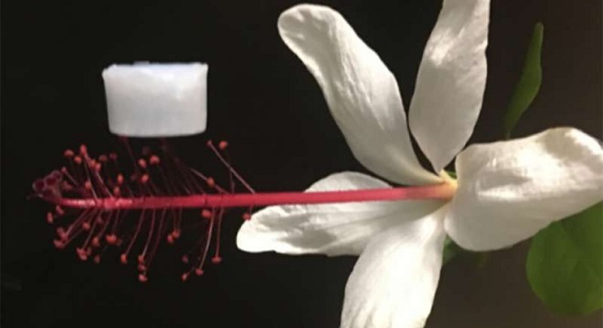 Découverte d’un aérogel de céramique, voire la création d’un matériau ultraléger et résistant aux températures extrêmes