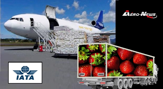 L’IATA lance la « CEIV Fresh », une nouvelle Certification d’Excellence industrielle pour le transport aérien des produits périssables