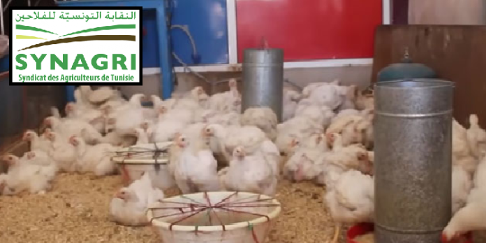 Sit-in des professionnels du secteur des volailles contre la hausse du coût de production