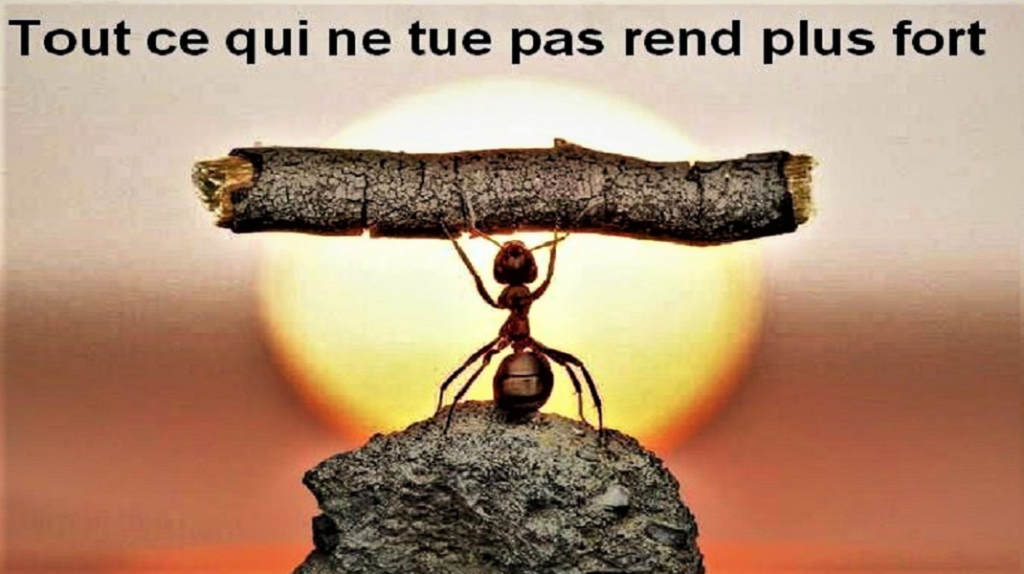 « Ce qui ne nous tue pas nous rend plus forts » : la science le