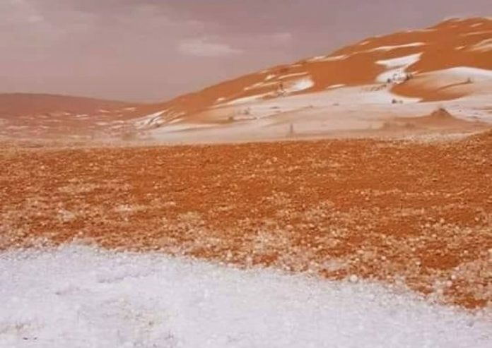 Tataouine : fortes pluies et grêle à El Borma