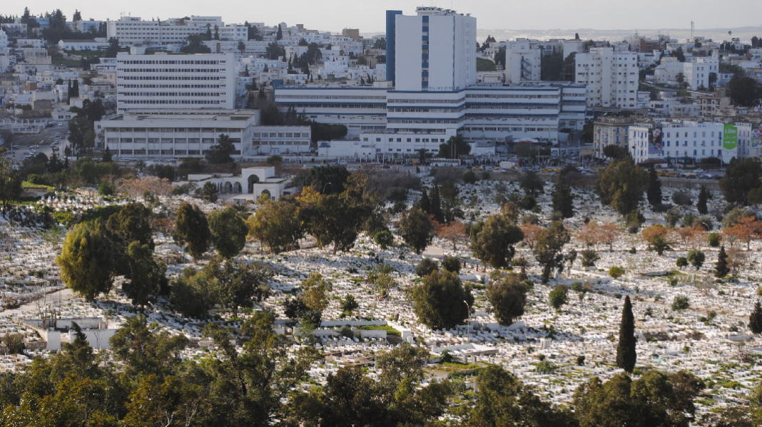 kais-saied-au-carre-des-martyrs-poury-deposer-une-gerbe-de-fleurs-et-reciter-la-fatiha-aux-ames-des-martyrs