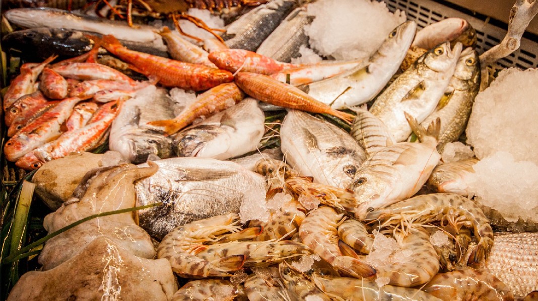 monastir-augmentation-de-5-de-la-production-de-peche