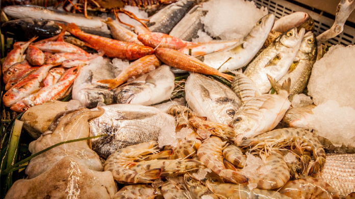 Monastir : Augmentation de 5% de la production de pêche