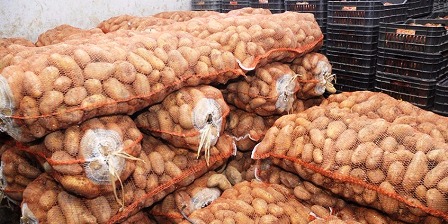 Kasserine : Saisie de 7 tonnes de pommes de terre destinées au marché parallèle