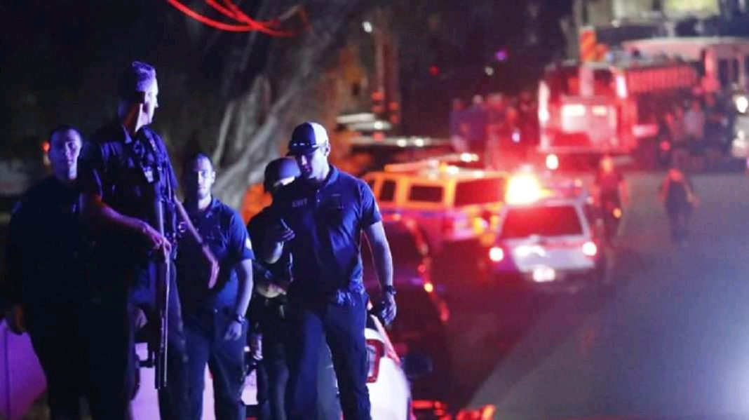 FB_IMG_15740675890698146