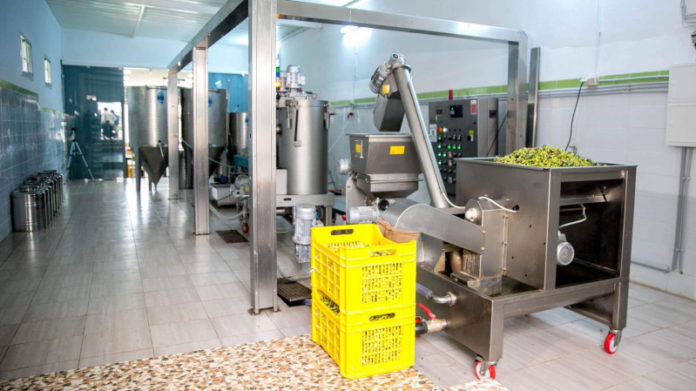 Plusieurs mesures au profit des chaines de production d’huile d’olive