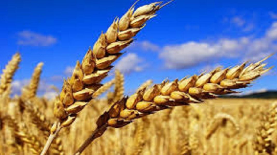 aggravation-du-d…in-decembre-2019