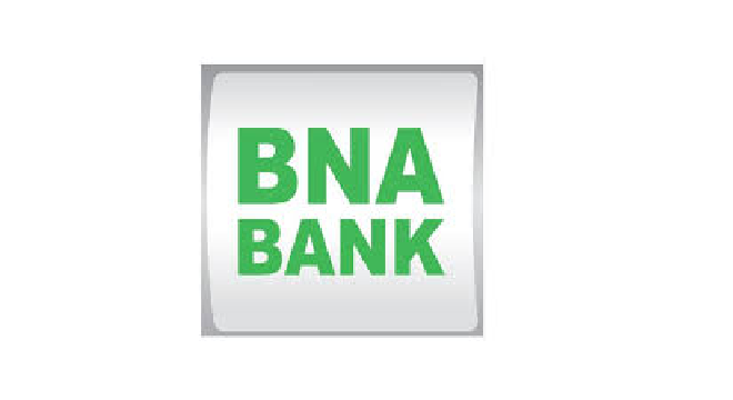 bna-la-bna-met-en-place-une-application-specialement-dediee-au-salon-riyada