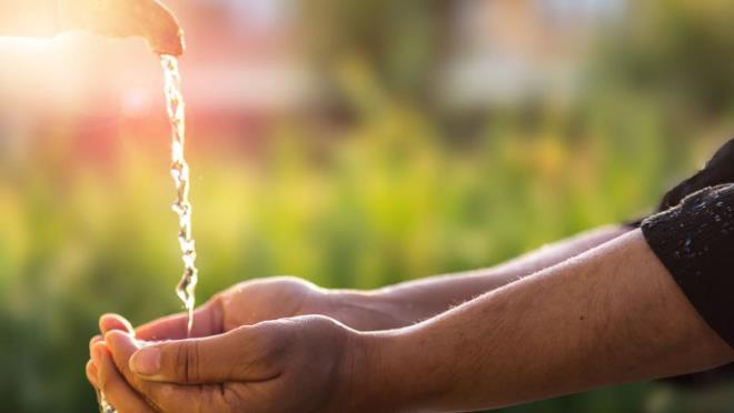 cache_660x660_Analog_medium_9268460_74271_08082017