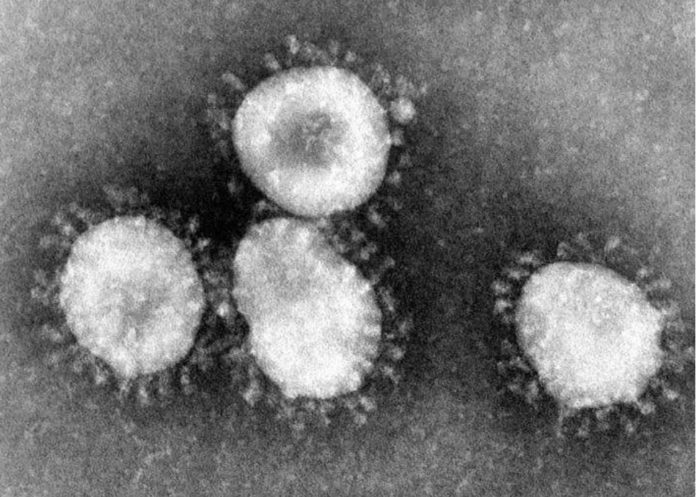 Covid-19 : Voici la température à laquelle le virus est détruit