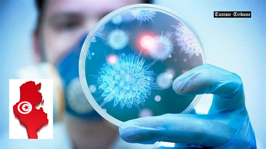 Tunisie-Tribune-coronavirus-1070-tn