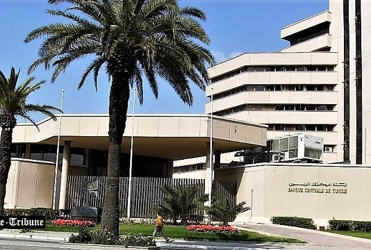 Huile d’olive : la BCT appelle les banques à appuyer la saison