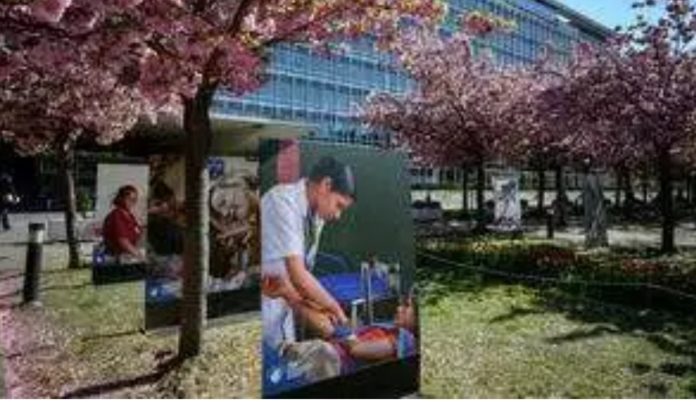 URGENT : L’OMS apporte des précisions quant à l’immunité des personnes déjà contaminées et guéries !