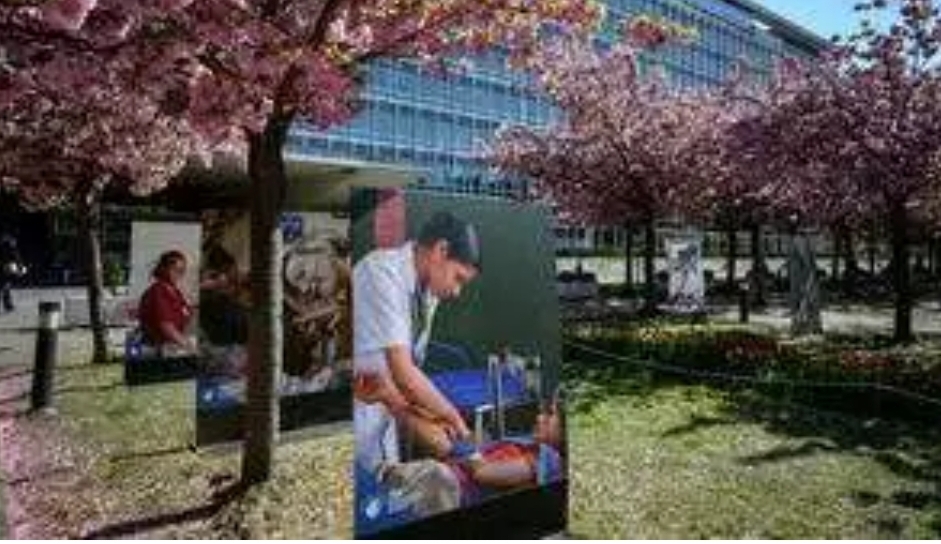 Screenshot_20200425-150259_Opera News