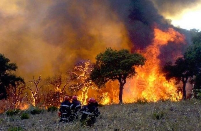 Déclarations du ministre de l’intérieur à propos de l’origine des incendies enregistrés dernièrement