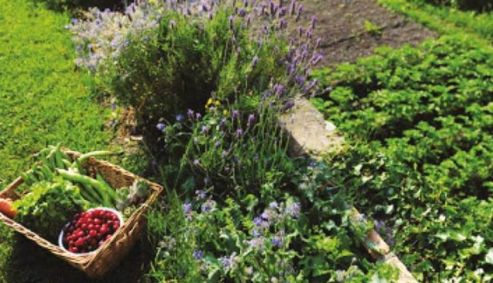 Avancement du projet euro-méditerranéen pour la promotion de l’agriculture biologique