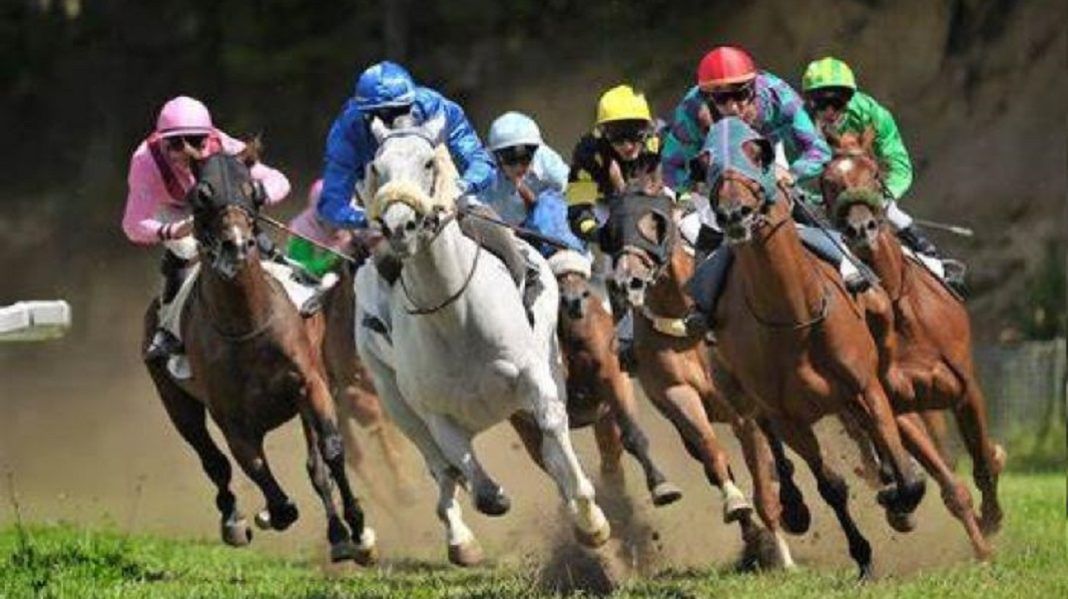 - parirt-aux-courses-hippiques