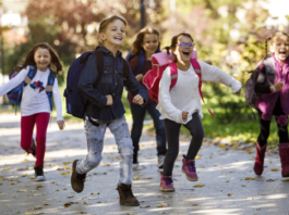 Rentrée scolaire 2026-2027 : Près de 2 millions 341 mille élèves rejoignent demain, mardi, les bancs de l’école