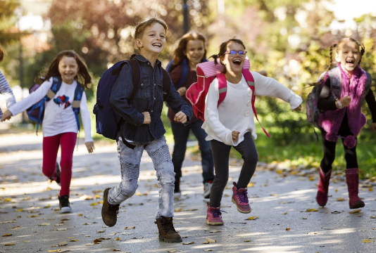 Rentrée scolaire 2026-2027 : Près de 2 millions 341 mille élèves rejoignent demain, mardi, les bancs de l’école