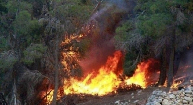 un-incendie-maitrise-a-mont-korbous