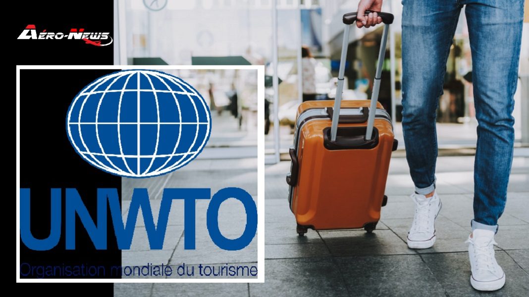 Male is carrying luggage in hall before trip