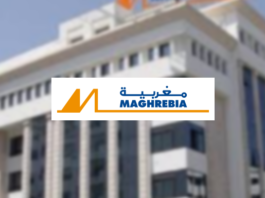 Assurances Maghrebia : Un chiffre d’affaires en hausse de 9,8% à 187,4 MDT