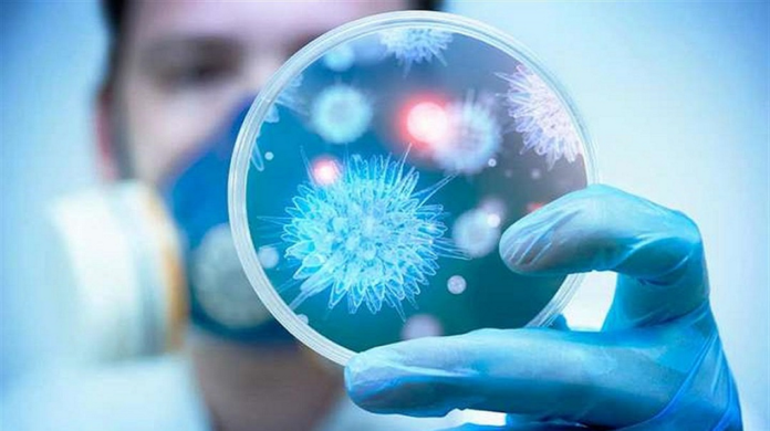 Handball : L’Espérance de Tunis touchée par le Covid-19