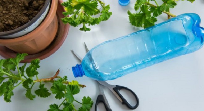 - bouteilles en plastique contre des plantes-01