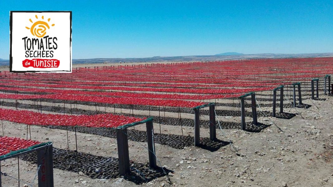 la-tomate-sechee-tunisienne-un-produit-a-promouvoir-et-a-revaloriser02