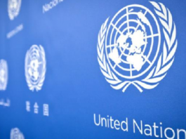 La magistrate Monia Ammar nommée membre de la Commission d’enquête de l’ONU sur la Syrie