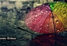 Prévisions météo du samedi 10 janvier 2026