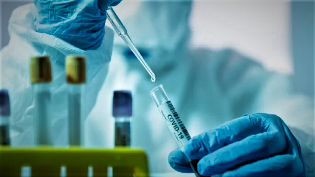 covid-19-apres-une-infection-combien-durerait-notre-immunite