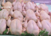 Saisie de 4,7 tonnes de produits inconsommables saisis