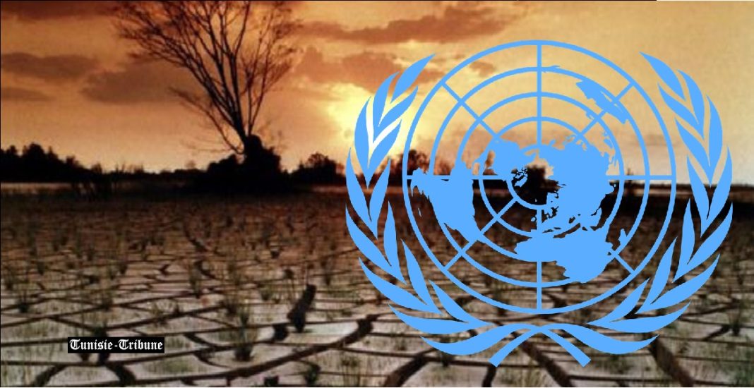 - ONU Afrique (adaptation climatique)