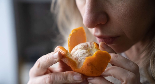 covid-19-et-anosmie-les-mecanismes-de-la-perte-dodorat-sont-enfin-elucides