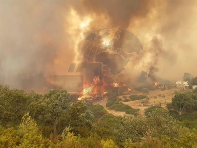 cache_660x660_Analog_medium_14289776_799010_13082021