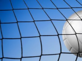 Volley-ball : Résultats de la première journée au Championnat d’Afrique des Nations 2026