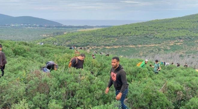 9 000 arbres plantés à Sejnane à l’initiative de Soli&Green et Tounes Clean-Up