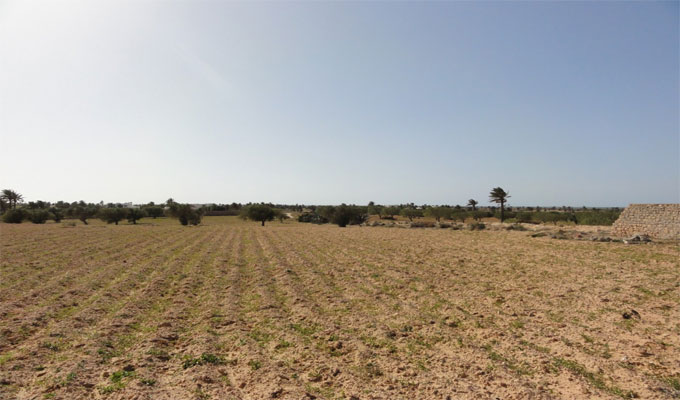 Sousse : Une citoyenne fait don d’un terrain pour des projets de développement