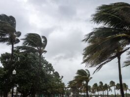 Vents forts et chute de pluies éparses sur le Nord
