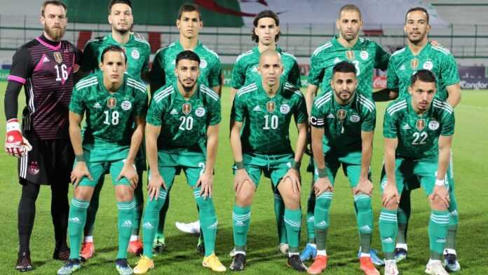 Mondial 2022 : Composition probable de l’Algérie face au Cameroun