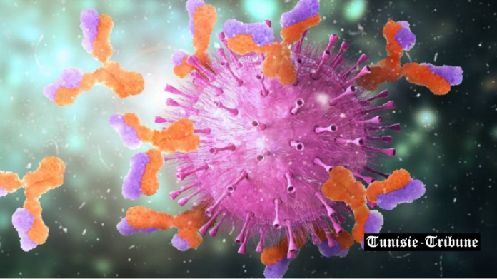 Les vaccins contre la COVID-19 ont sauvé au moins 1,4 million de vies en Europe