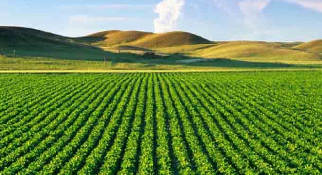 terre domaniale agricole