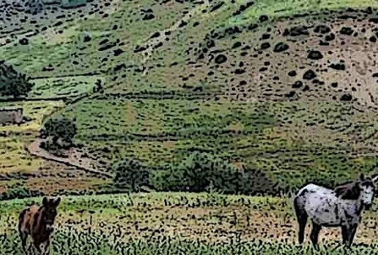 73 dossiers agricoles approuvés pour 7.3 millions à Bizerte